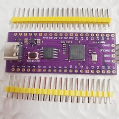 Raspberry Pi Pico RP2040 Dual-Core 264KB USB-C w/ Pin Headers PURPLE ~USA SHIP