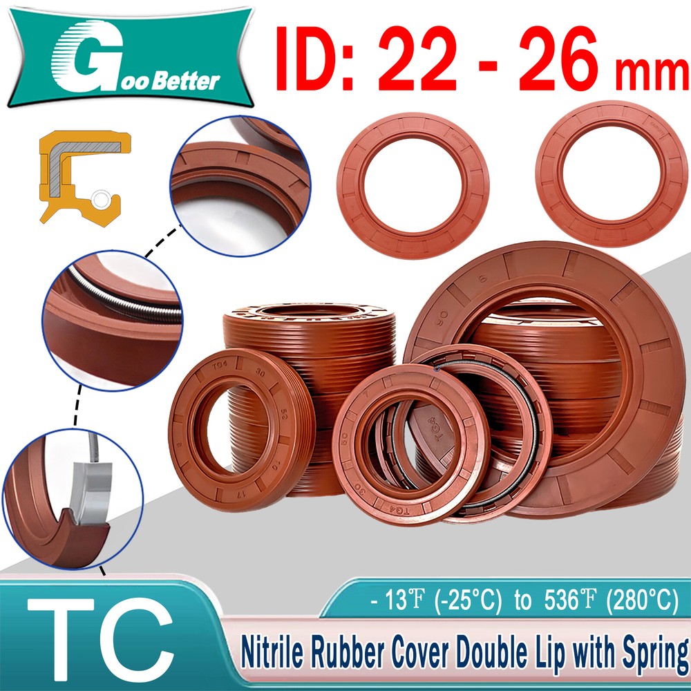 Oil Seal Metric Size Rotary Shaft Seal 22 to 26mm Inner diameter FKM Rubber 70