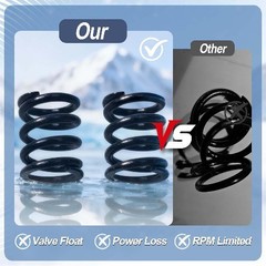 36lb Valve Spring Kit For 212cc For 200 For Non-HEMI Clone 200 For Size: 36lb