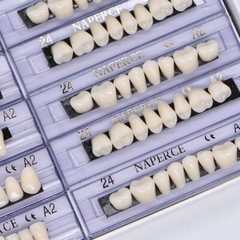 168X Acrylic Resin A1/A2/A3 Dental Denture Teeth Upper Lower Shade 22/23/24# HOT
