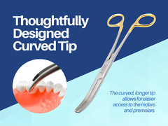 Wynman Crown Gripping and Removing Forceps ARTMAN
