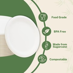 Klex 6″ Compostable Plates 1000 Pack Sugarcane Bagasse Round