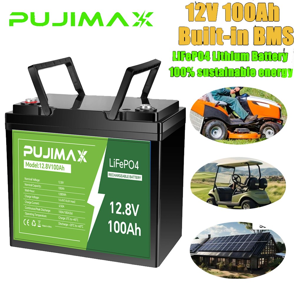 12V 100Ah LiFePO4 Lithium Battery Deep Cycle BMS for Solar Panel Marine Off-Grid