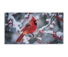 Style Choice * Birds * 3 Year Pocket Calendar Planner 2025-2027 w Notepad