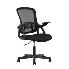 Ergonomic Mesh Office Chair Flip Up Arms Adjustable Black 275 lb