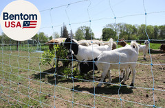 42″ X 164′ Electric Netting All-In-One Solar Kit for Goats, Sheep, Gardens, Beeh