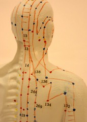 10″ human Chinese acupuncture model 26cm tall anatomical sculpture figurine New