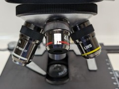LW Scientific Revelation III Compound Microscope, 110V, 60Hz, 4 Objective Lenses
