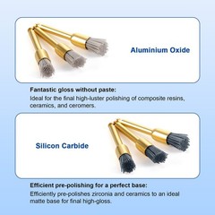 10pc Dental Finishing Finisher Prophy Brushes Aluminium Oxide Polishing Polisher