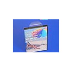 1″ Crystal Clear Wafer Seals/Mailing Tabs Package Seals Round Circle 500 labels