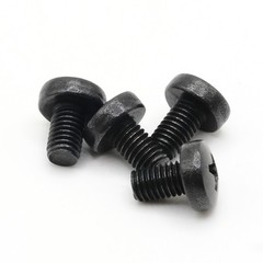 Stainless Screws for MINI Cooper License Plates (Set of 4, Black, Rear)