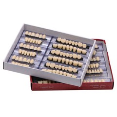 168Pcs Dental Acrylic Resin Denture A3#23 Shade Full Upper Lower False Teeth NEW