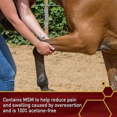 12 Ounce Horse Gel Liniment Cooling Warming Pain Relief MSM Acetone Free