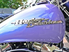 Ghosting SHIMMER Multi BLUE pearl ACRYLIC Auto Paint HOK