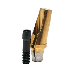 US Dental Angulated Abutment 17° W/screw Inter Hex Regular 2.5mm Dentist Lab A/B