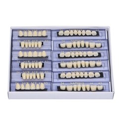 168pc Dental Acrylic Resin Denture 24# A3 Shade False Teeth Full Set Upper Lower