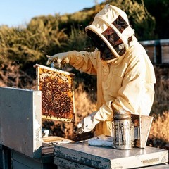 Professional Full Beekeeping Suit Protective Bee Heavy Duty with Gloves XXL NEW