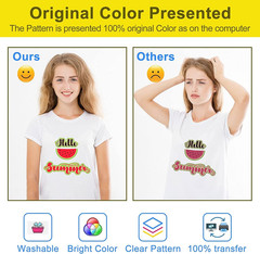 DTF Transfer Film: 13X19 Inch 100 Sheets Premium Double-Sided Matte Finish PET T