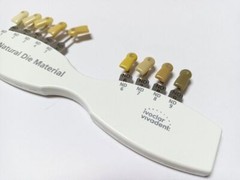Dental IPS Natural Die Material Shade Guide Ivoclar Vivadent ND1-9 Abutment