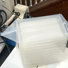 Genetix X6003 384 Well Plates for Biological Lab 1 Case, 8 Packs of 10