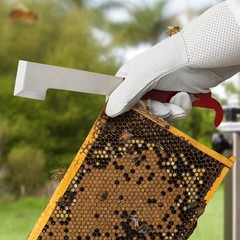 2pk Stainless Steel J Hook Bee Hive Tool, Beekeeping Honey Scraper, Frame Lifter