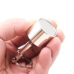2 Pack Extra Large Keychain Metal Testing & Pickup Magnet Gold Silver Test 28mm
