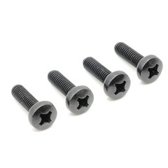 Stainless Screws for Toyota RAV4 License Plates (Set of 4, Black, Rear)