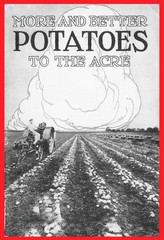 IH International More and Better Potatoes to the Acre Brochure