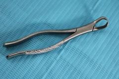GERMAN 10 GERMAN EXTRACTING FORCEPS EXTRACTION DENTAL INSTRUMENTS-A+ QUALITY