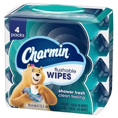 FLUSHABLE SOFT CLEANSING WIPES Bathroom Gentle Clean Personal Hygiene Use 4 Pack