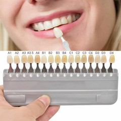 Porcelain 16 Colors Shade Guide Classical Dental VITA Toothguide A1-D4 Whitenin