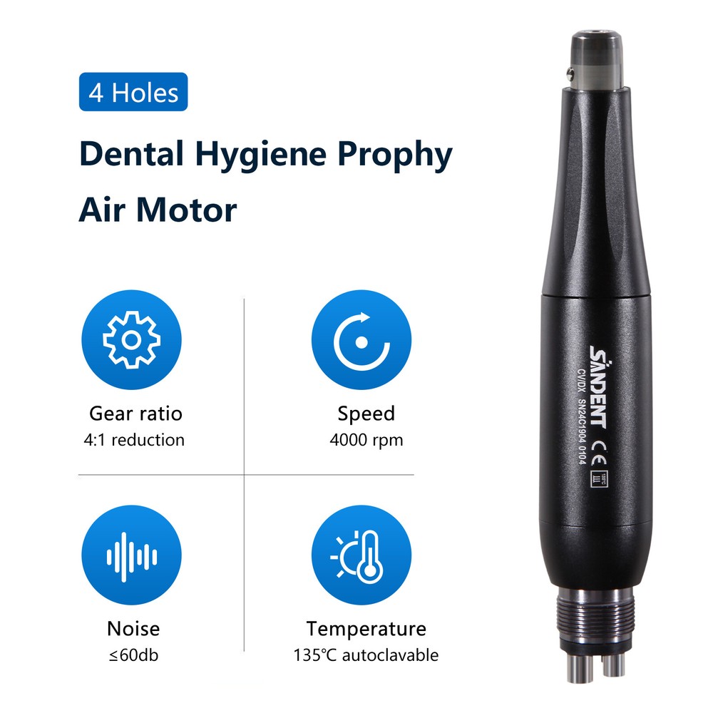 Dental Teeth Polishing Polisher Hygiene Prophy Handpiece 2 Holes 4Holes