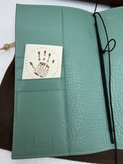 Gillio Firenze Giramondo Regular Epoca Aqua Leather TN Cover Box Bag 275/02-810