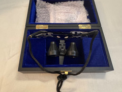 Zeiss Vision GF – 2.5X – Surgical / Dental Loupe BinocuIars + Case