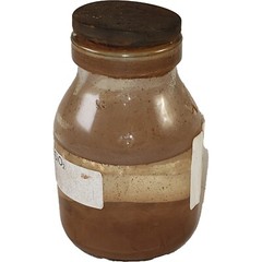 GeneNano Silica Brown Magnetic beads about 300 nm for DNA/RNA extraction