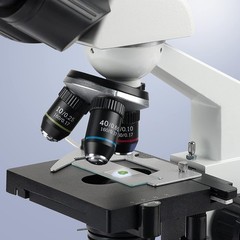Concave Microscope Glass Slides Single Depression 1×3″ Pack of 50 Slides