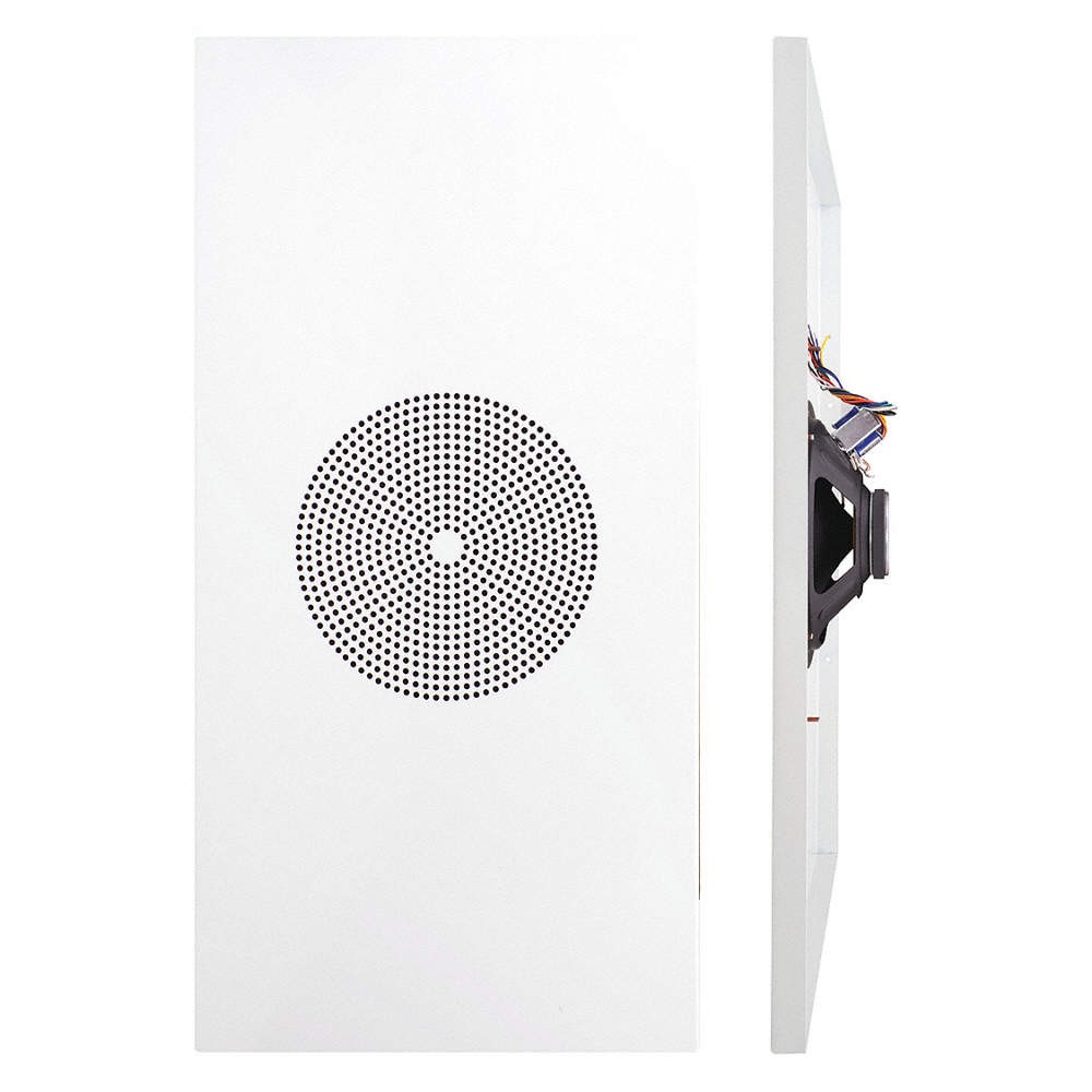 SPECO TECHNOLOGIES G86TG1X2 In-Ceiling Speaker,24 in.L x 12 in.W 45MK46