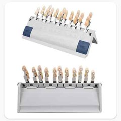 VITA Dental Lab Resin Toothguide 3D Master with Bleached Shade Guide 29 Colors