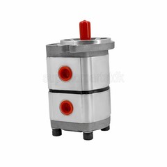 NEW Hydraulic Pump Double Acting Two Section for AGT-H15R Mini Excavators