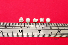 3/16″ Hole Nylon Locking Panel Plugs Black/White Dome Cover 15/64″ Top Width