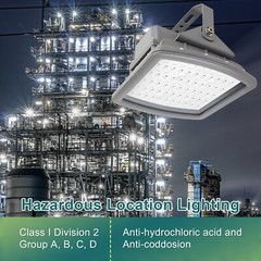 100W Explosion Proof LED Flood Light for Hazardous Gas Station Warehouse Airport