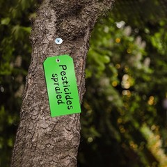 Versatile 200-Piece Green Shipping Tags – Ideal for Inventory & Organization