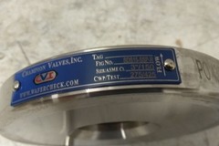 Champion 3SDS15-SSP-R 3 In Pipe Size Flange Connection Check Valve