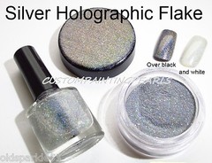 25g Silver Holographic Flakes .008″ Auto URETHANE BASE Lacquer Gloss