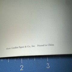 Cavallini LONDON -Page 5.5” X 4” Notebook Journal Blank 40 Pages
