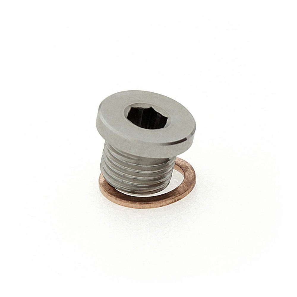 M12 x 1.25 Stainless Steel 316 Threaded Plug Fitting with Copper Washer –