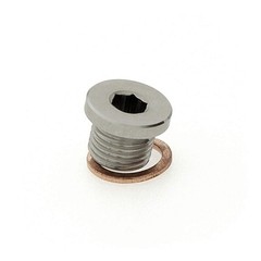 M12 x 1.25 Stainless Steel 316 Threaded Plug Fitting with Copper Washer –