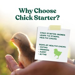 Manna Pro Medicated Chick Starter Grower Crumbles 5 Pound for Healthy Growth