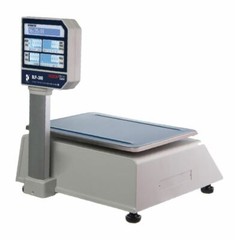 VisionTechShop DLP-300 Label Printing Scale Pole Display, 30/60lbs Capacity