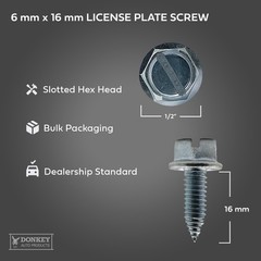 License Plate Screws – Slotted Hex Head – Metric – 6mm x 16mm – For Vehicles (10